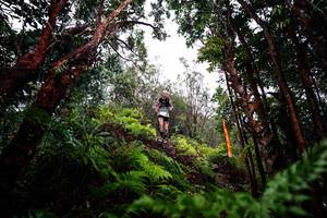 BIB: 
                            <button type="button" onclick="openModal(26201011)" class="btn btn-primary btn-sm float-right btn-popup" data-toggle="modal" data-target=".modal-high-quality">
                        <i class="fas fa-shopping-cart"></i> Add to Cart
                    </button>
                                            <button type="button" onclick="isThisMe(26201011, true)" class="btn btn-success btn-sm float-right btn-popup btn-isme hidden" data-toggle="tooltip" data-placement="bottom" title="นี่คือรูปของคุณใช่ไหม คลิกที่นี่เพื่อเอาเข้าอัลบั้ม">
                        <i class="fas fa-plus"></i> Add to album
                    </button>
                    <button type="button" onclick="isThisMe(26201011, false)" class="btn btn-warning btn-sm float-right btn-popup btn-isnotme hidden">
                        <i class="fas fa-ban"></i> Remove from album
                    </button>